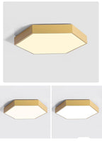 Willow Moor - Hex Ceiling Light Fixture
