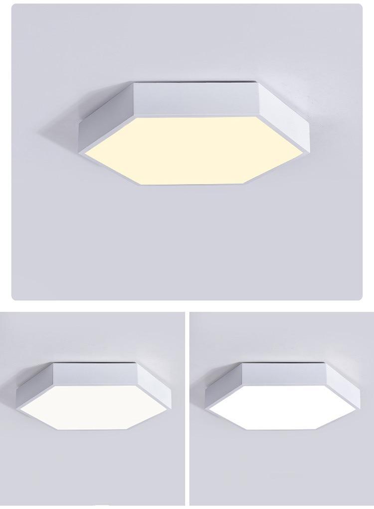 Willow Moor - Hex Ceiling Light Fixture