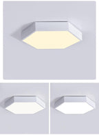 Willow Moor - Hex Ceiling Light Fixture