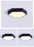 Willow Moor - Hex Ceiling Light Fixture