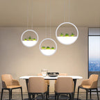 Golden Sky - Round Planter Chandelier