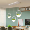 Golden Sky - Round Planter Chandelier